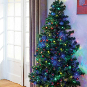 Sapin Magic gain de place, par l’Homme Moderne.