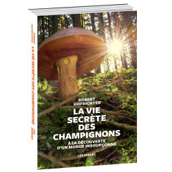 La Vie secrète des champignons