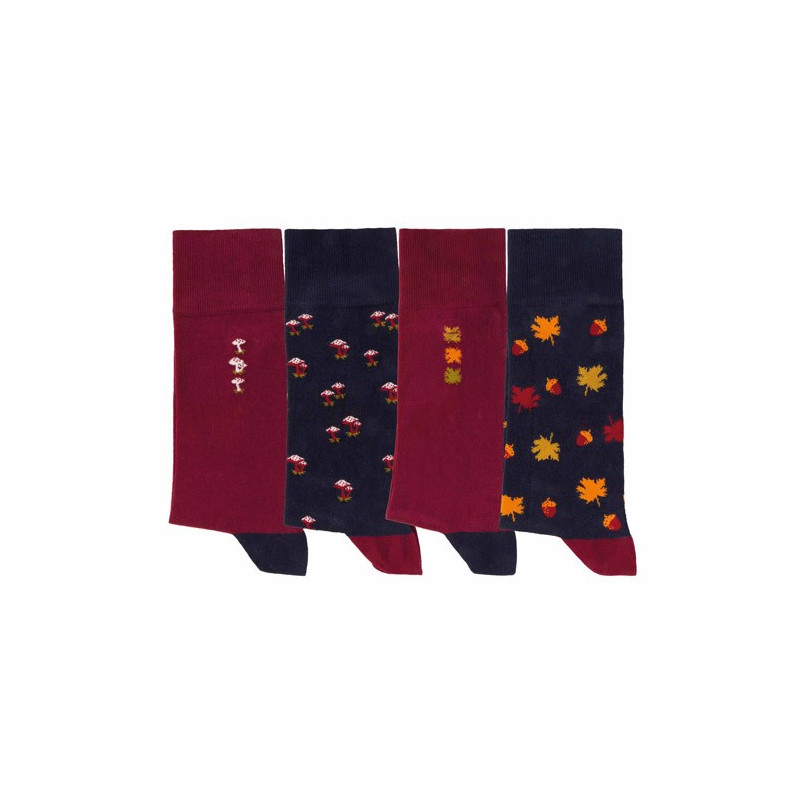 Chaussettes fantaisie d'automne - les 4 paires