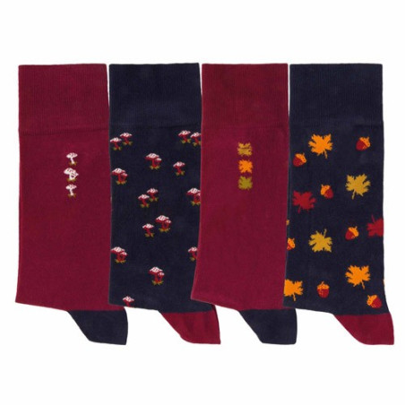 Chaussettes fantaisie d'automne - les 4 paires