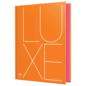 Les Secrets du luxe - Histoire d’une industrie Française, par l’Homme Moderne.