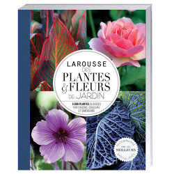 Larousse des plantes et fleurs de jardin