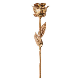 Rose d’or, par l’Homme Moderne.