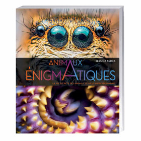 Animaux énigmatiques, par l’Homme Moderne.