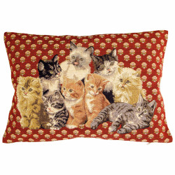 La housse de coussin chats