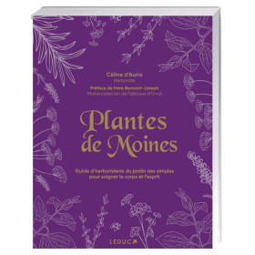 Plantes de moines, par l’Homme Moderne.