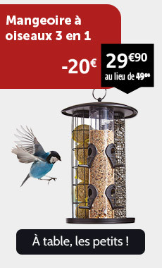 Mangeoire à oiseaux 3 en 1